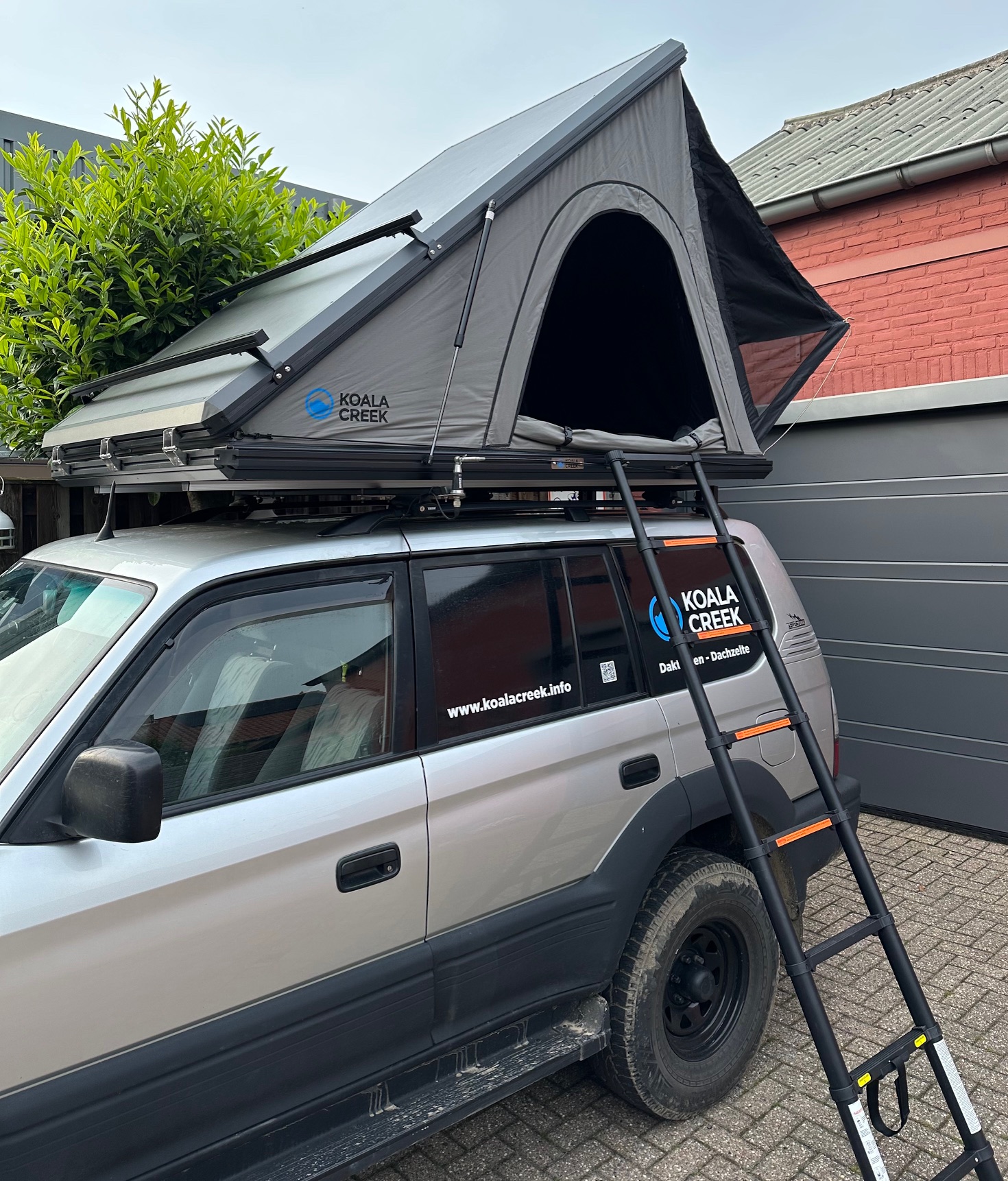 Koala Creek Roadtrip – Abbildung 8