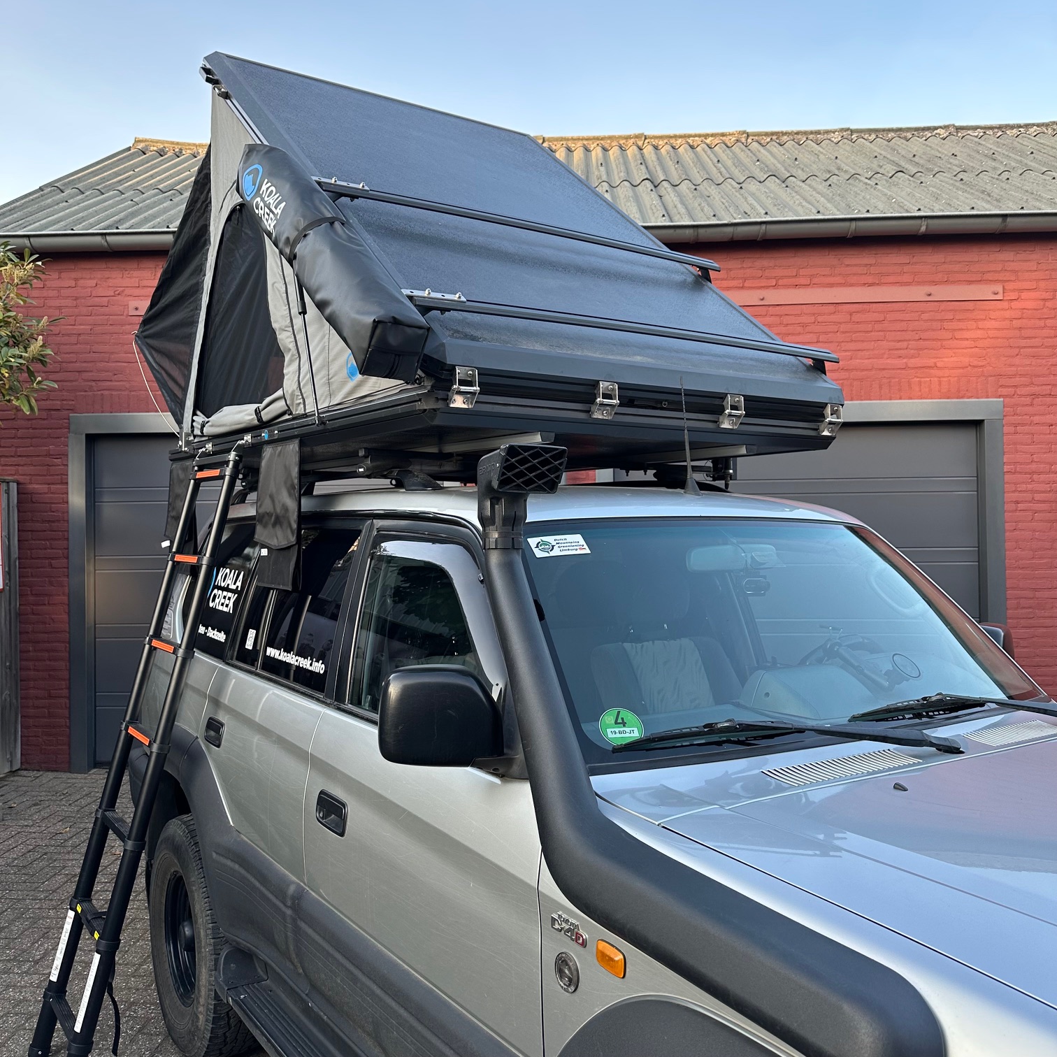 Koala Creek Roadtrip – Abbildung 10